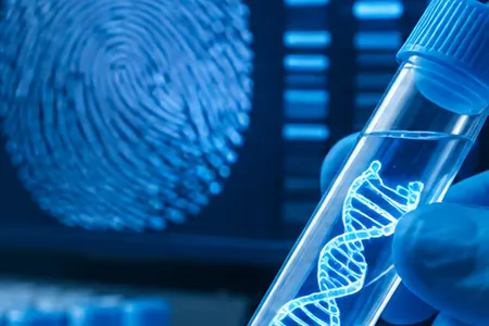 Forense