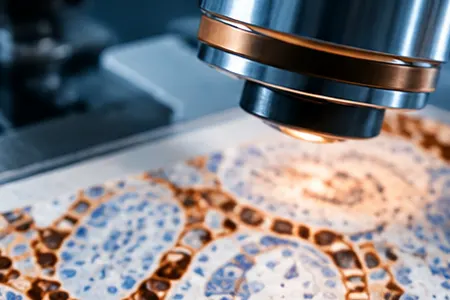 Inmunohistoquímica