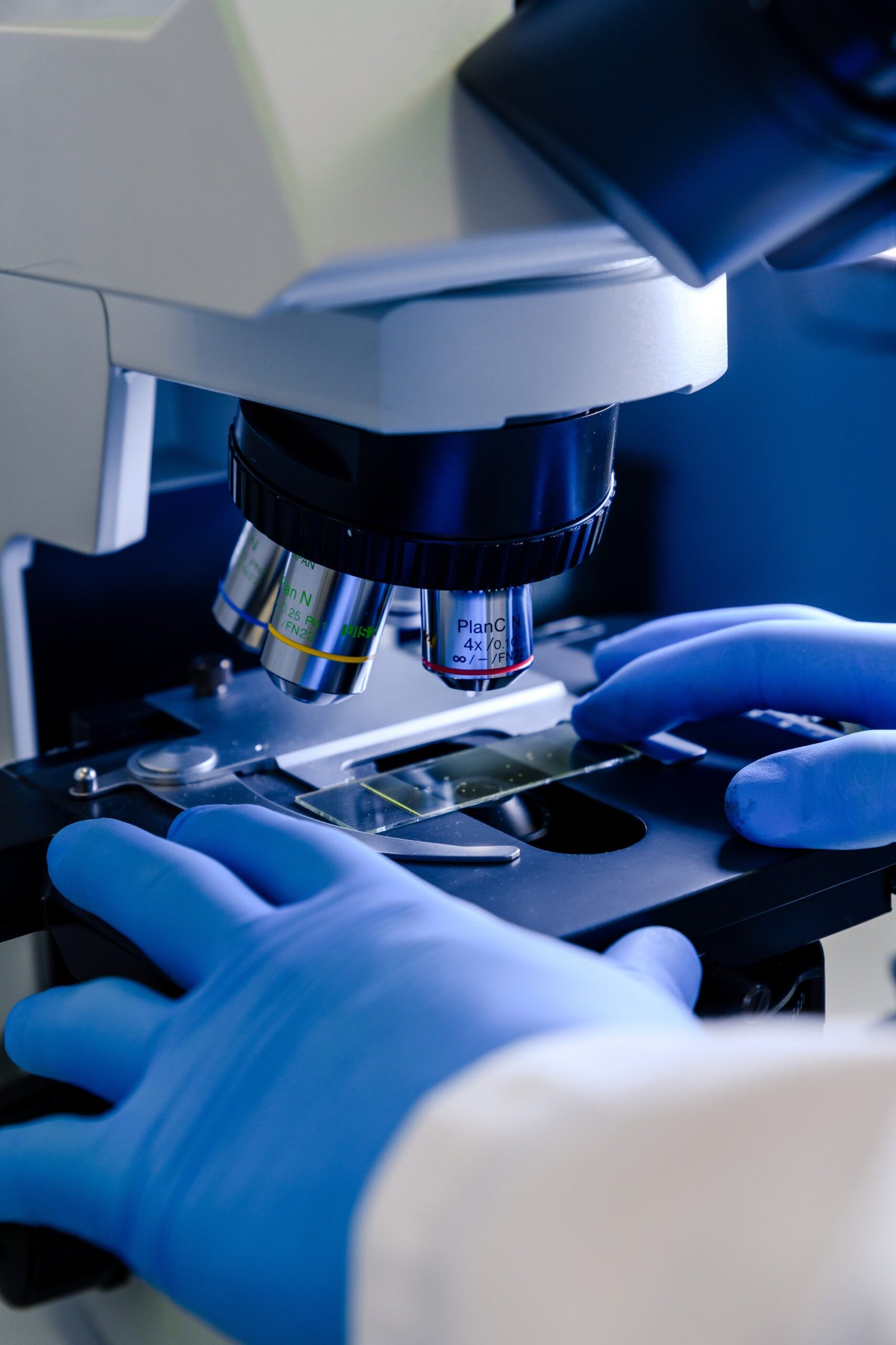 Microscopía